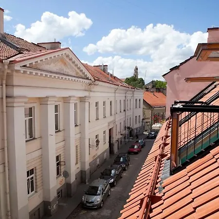 Angel * Vilnius